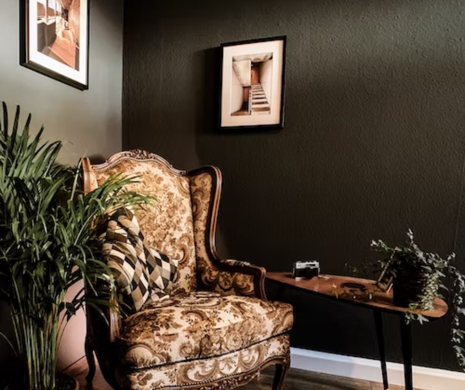 Picture of a brown Victorian style chair sitting in the corner of a room with walls painted black. A tall plant is to the left of the chair.