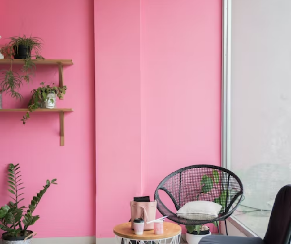 Picture of pink wall with wood shelves on it and a black chair in front.